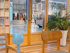 -猫的天空之城概念书店(印象城购物中心店)