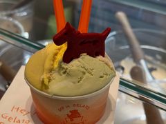 -Dip in Gelato(富民路店)