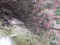 -兰溪青年公园