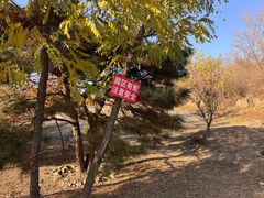-白水寺森林公园