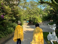 -碧桂园润杨溪谷温泉酒店