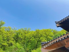 -终南山南五台景区