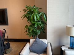 -京香轩·中餐厅(上海中庚聚龙酒店)