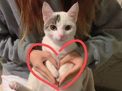 -Apple零售店(玄武湖店)