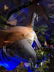 -恐龙探索乐园(磁器口店)