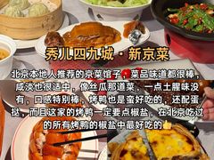 -秀儿四九城·新京菜(亚运村鸟巢店)