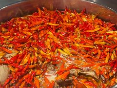 -海岛八号龙虾烧烤田鸡(蓝天路总店)