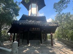 -上海佘山国家森林公园天马山园