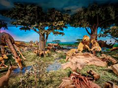 -国家自然博物馆