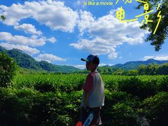 -中国茶叶博物馆(双峰馆区)