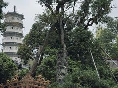 -国恩寺