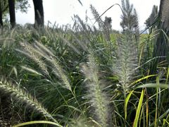 -汉长安城未央宫国家考古遗址公园