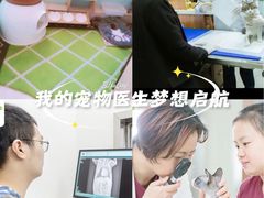 -纳吉亚猫专科动物医院博雅分院