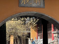 -灵谷景区