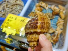 香螺-醉壹号海鲜大排档(厦门美食地标店)