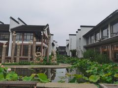 -丝绸小镇荻港古村