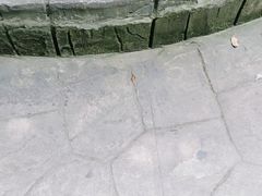 -南湖梦幻岛