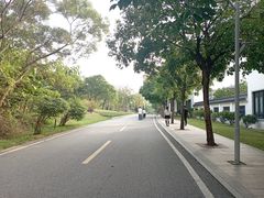 -广东花都湖国家湿地公园