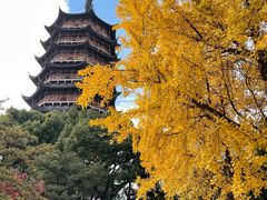 -北寺塔