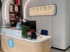 -西安京西宠物医院·瘫痪·疑难杂症