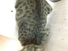 -合味道娟姨美食(堑头店)