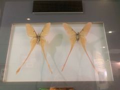 -上海昆虫博物馆