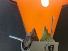 -野人先生现做冰淇淋(北京悠唐购物中心店)