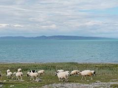 -青海湖国家重点风景名胜区