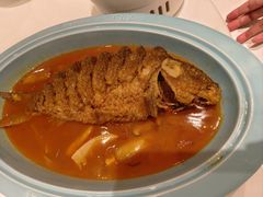 -阿五黄河大鲤鱼(纬三路店)