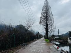 -十九峰景区