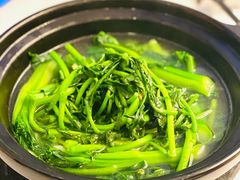 上汤西洋菜-广州塔晖粤轩中餐厅