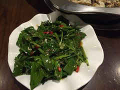 -百岁鱼(七一路店)