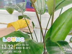 -龙格亲子游泳·水育早教运动中心(上虞钱江中心)