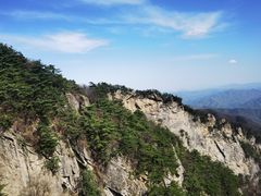 -王顺山国家森林公园
