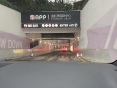-金虹桥商场