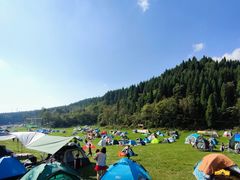-武陵山森林公园