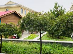 -藁城北服务区-停车场