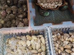 -坛南湾阿强农家乐.海鲜大排档老字号(福州地标美食店)
