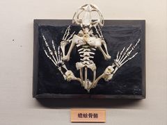-天津自然博物馆