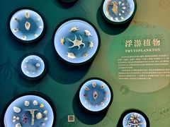 -中国湿地博物馆