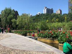 -成吉思汗公园