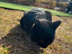 -龙熙温泉高尔夫俱乐部