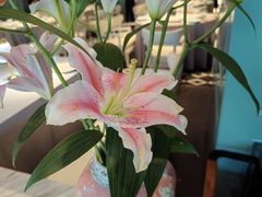 -南堂馆·新川菜(春熙路店)