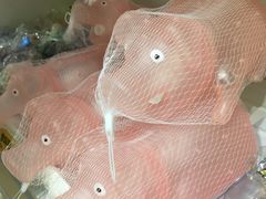 -童年小卖铺(五道营店)