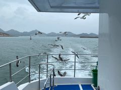-海驴岛(荣成市)