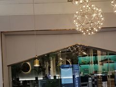 -探窝·竹笙椰子鸡(杨箕店)