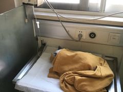 -北京观赏动物医院·24小时大型综合·猫专科·异宠专科