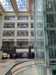 -首都医科大学附属北京儿童医院
