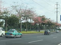 -文海饭店(朝阳路店)