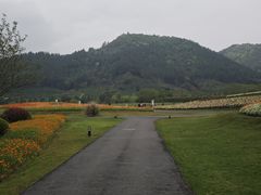 -径山花海